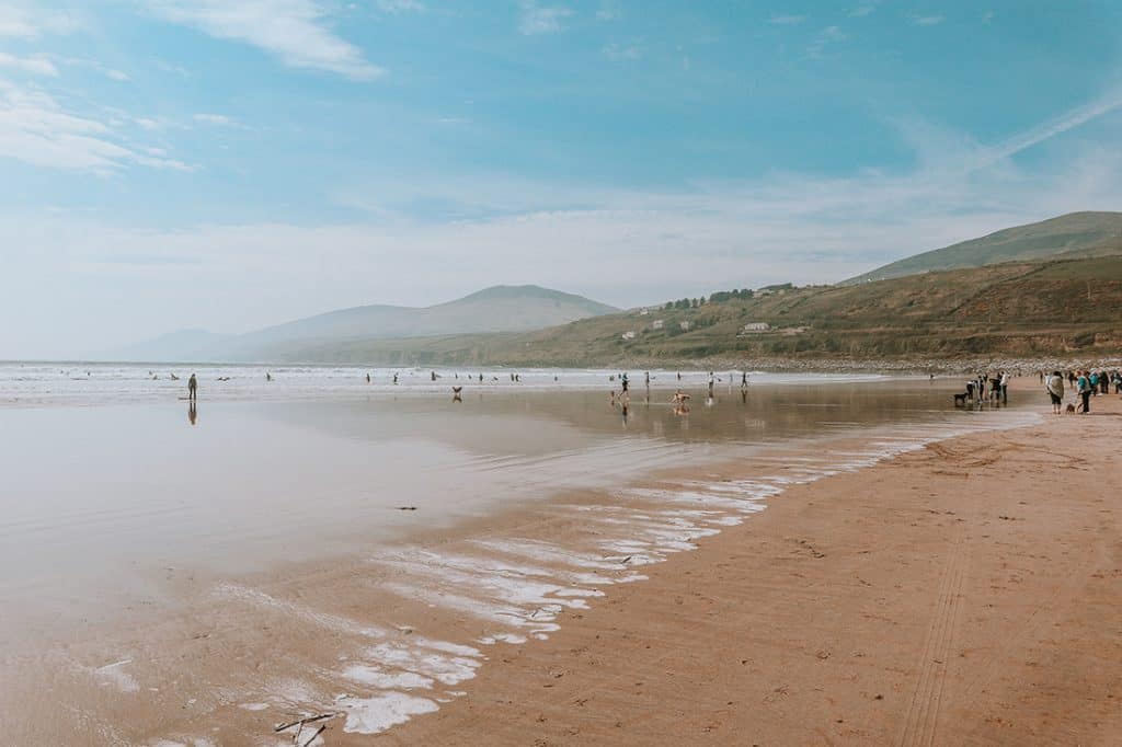 people relaxing on the beach