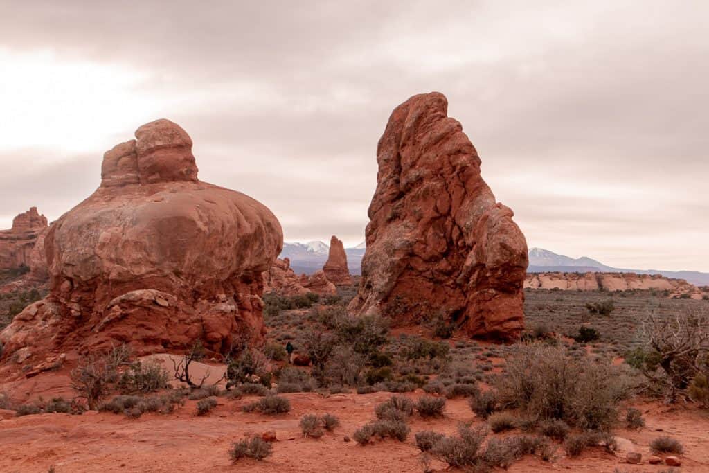 landscape in arches national park