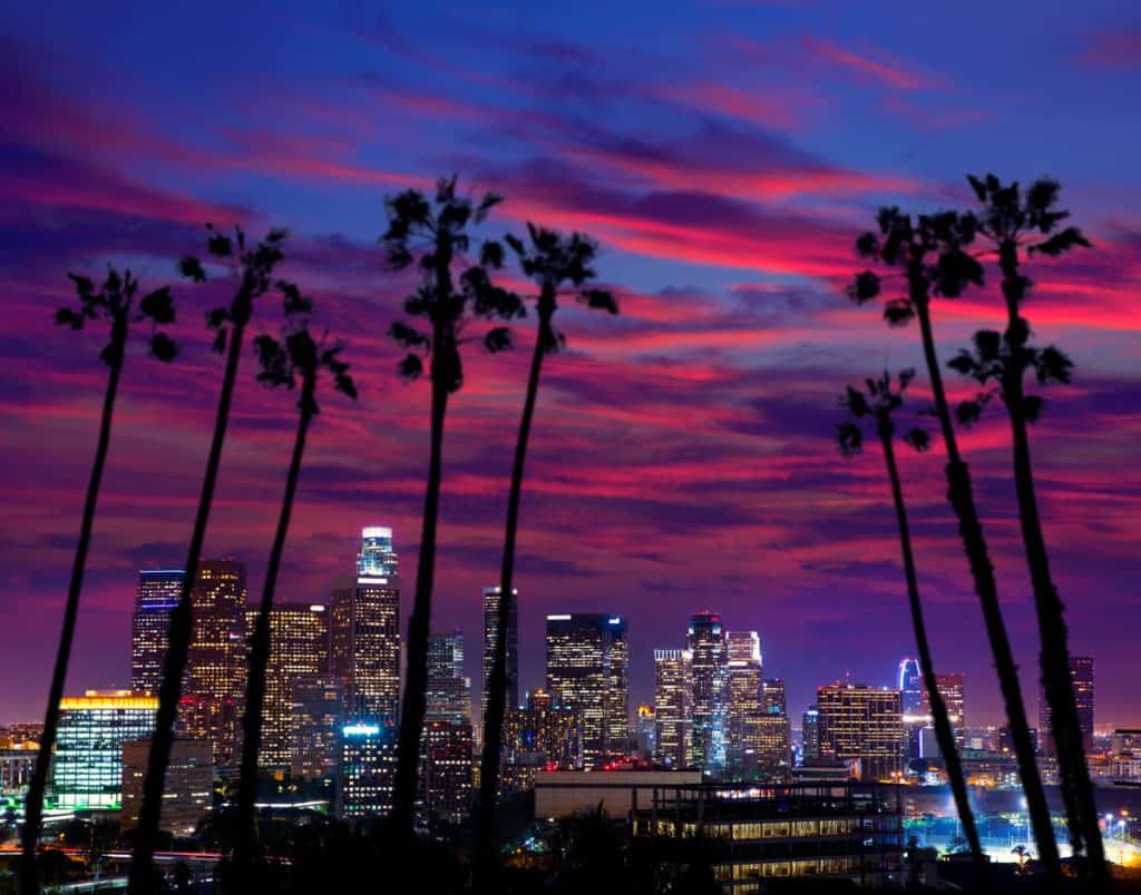 city skyline lit up through palm trees with a pink and blue sky overhead