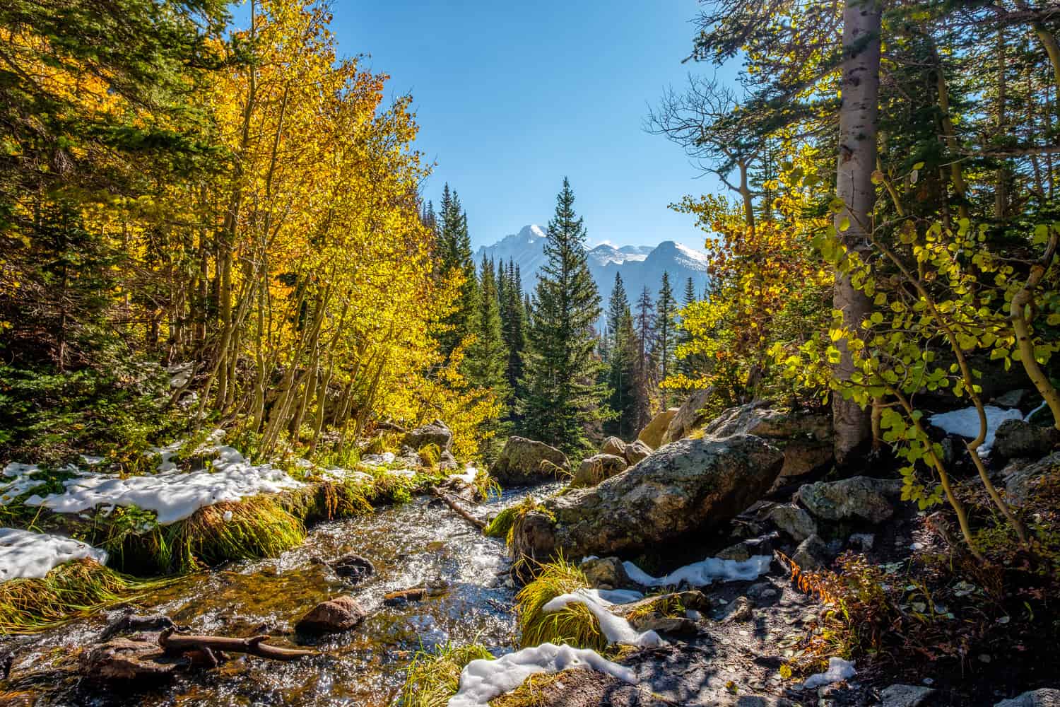 Where to See Fall Colors in Rocky Mountain National Park - Volumes ...