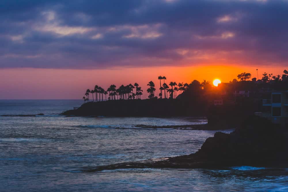 ocean at sunset with palm trees silhouetted in the distance by the setting sun