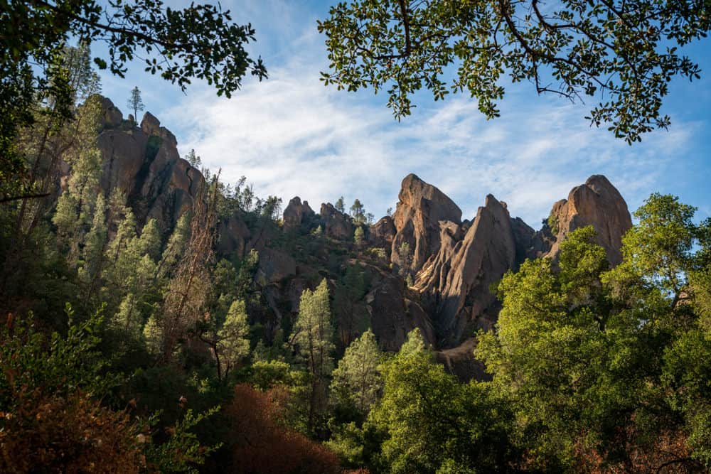 Large rocks jut out of the earth surrounded by a forest.
