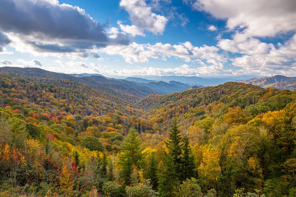 Mountain landscape covered in forest featuring fall foliage colors.