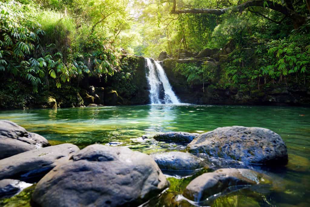 Small waterfall flowing into an emerald green lake surrounded by greenery. 