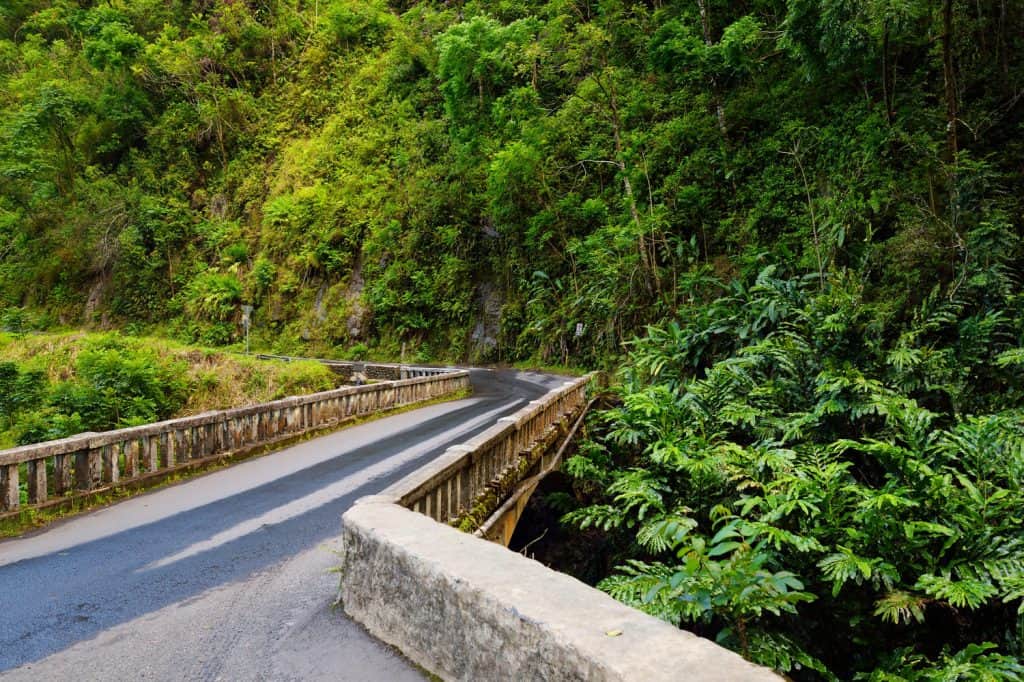 Small, single lane bridge leading towards a green wooded area.  