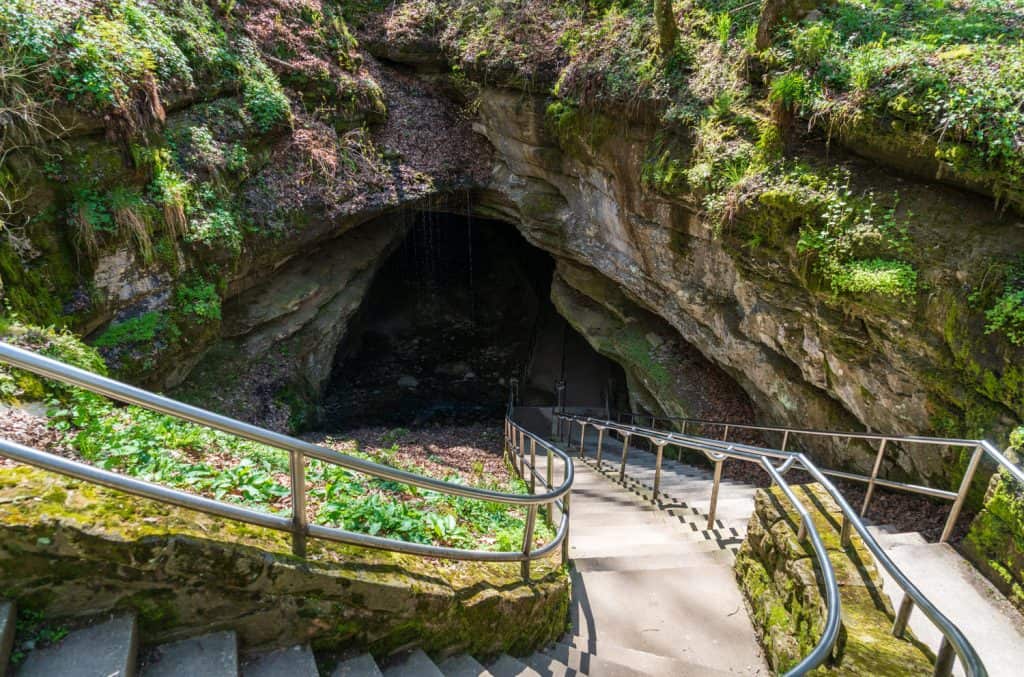 A staircase leading down into a cave in a wooded area. 