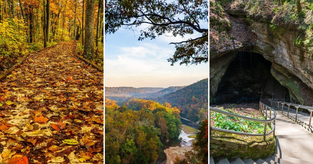 Image featuring Mammoth Cave National Park hiking trails. The left image features a hiking trail through the woods that is covered in fall colored leaves. The middle image features a view of a mountain range with fall colored trees covering the mountains. The right image features a staircase leading down into a cave in a wooded area.