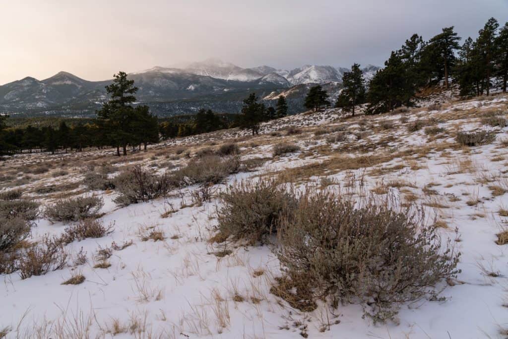Snowy mountain landscape.