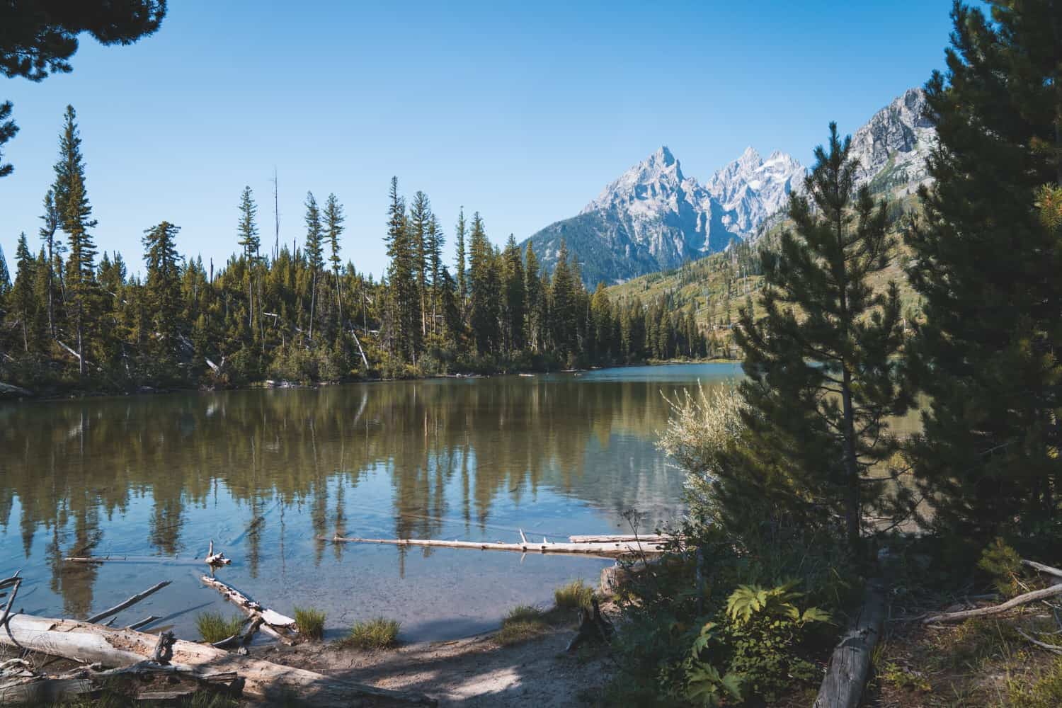 29 USA National Parks in the West You Must Visit - Volumes & Voyages