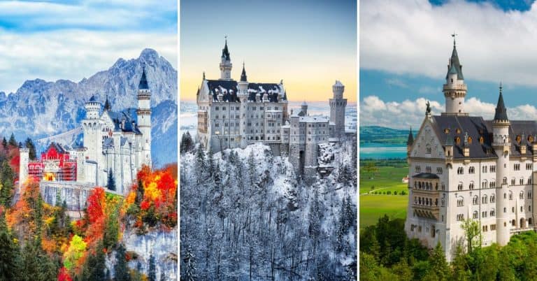 9 Best Neuschwanstein Castle Tours for All Ages (2023)