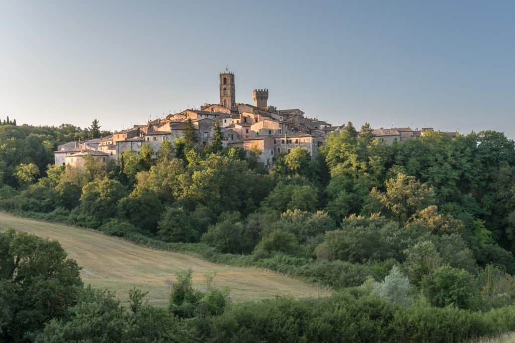 Big historic town up on a hill under a blue sky surrounded by greenery.