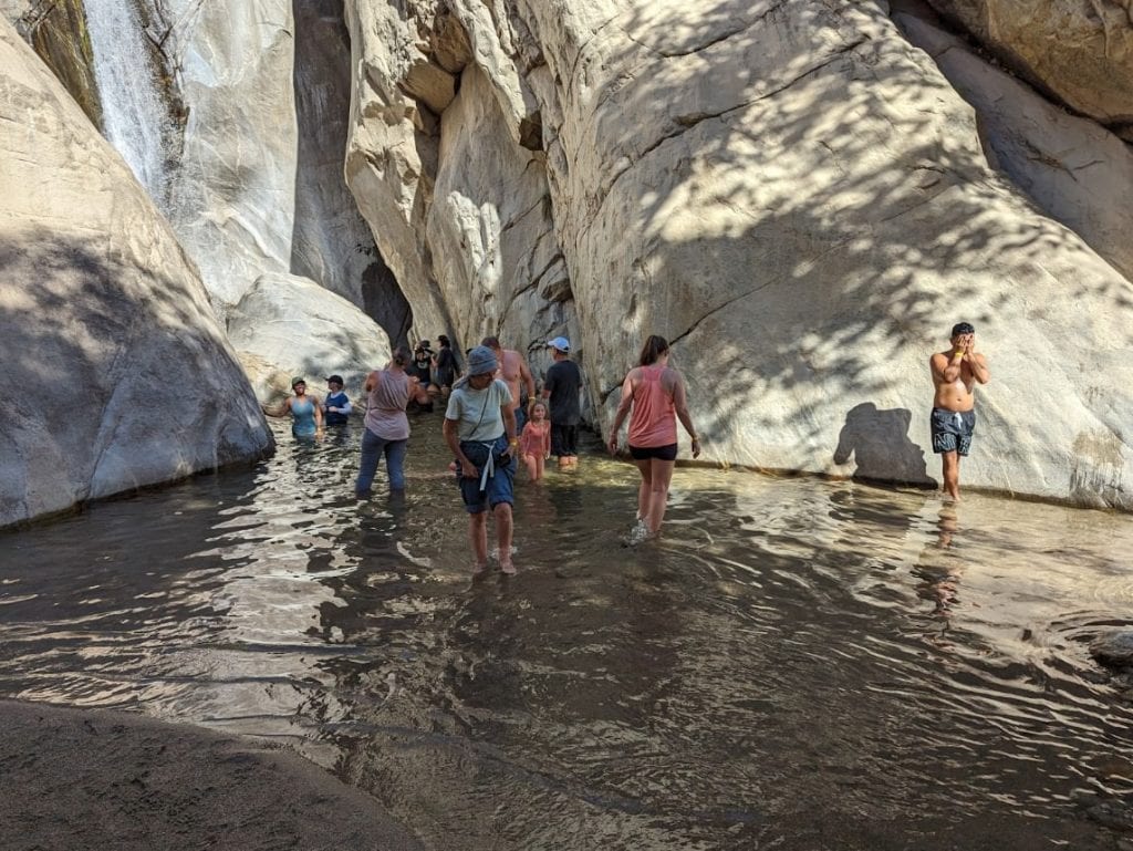 A group of people walking through shallow water at the bottom of the Tahquitz Canyon in Palm Springs.