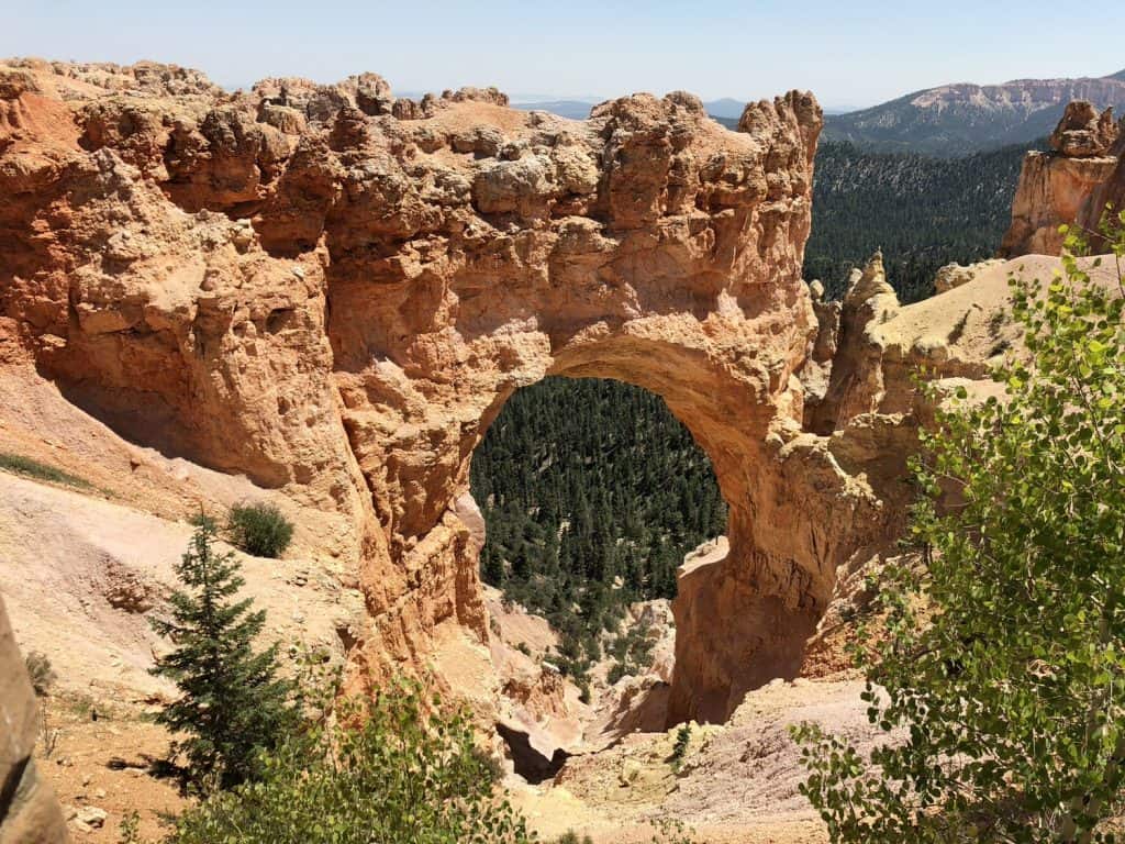 A red rock arch with trees surrounding it.