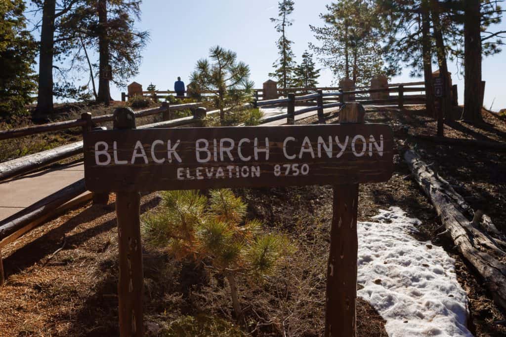 Wooden sign that says Black Birch Canyon, elevation 8750.
