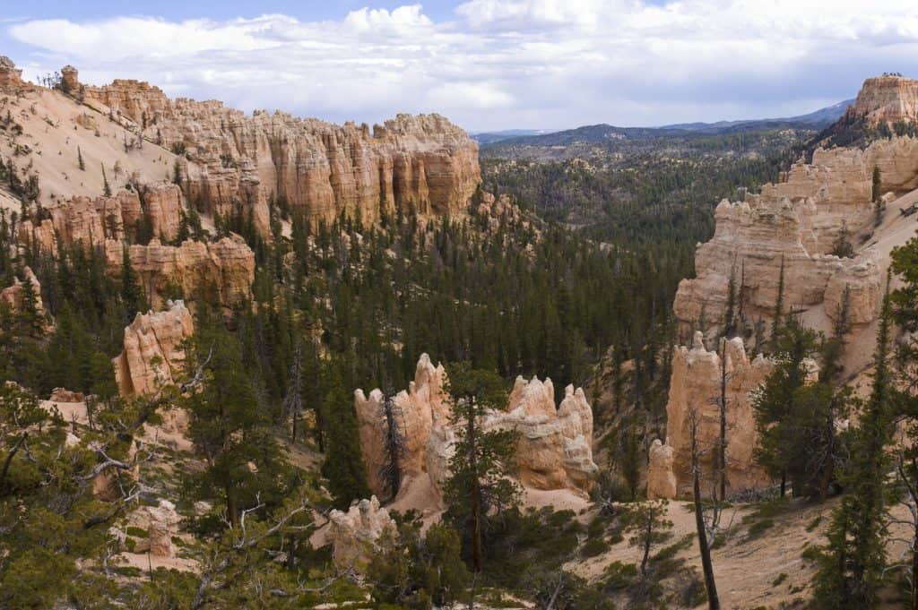Hoodoos with green trees surrounding them.