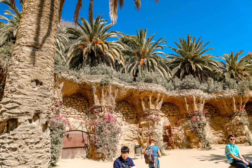 An area carved into the side of a cliff with palm tree on top. 