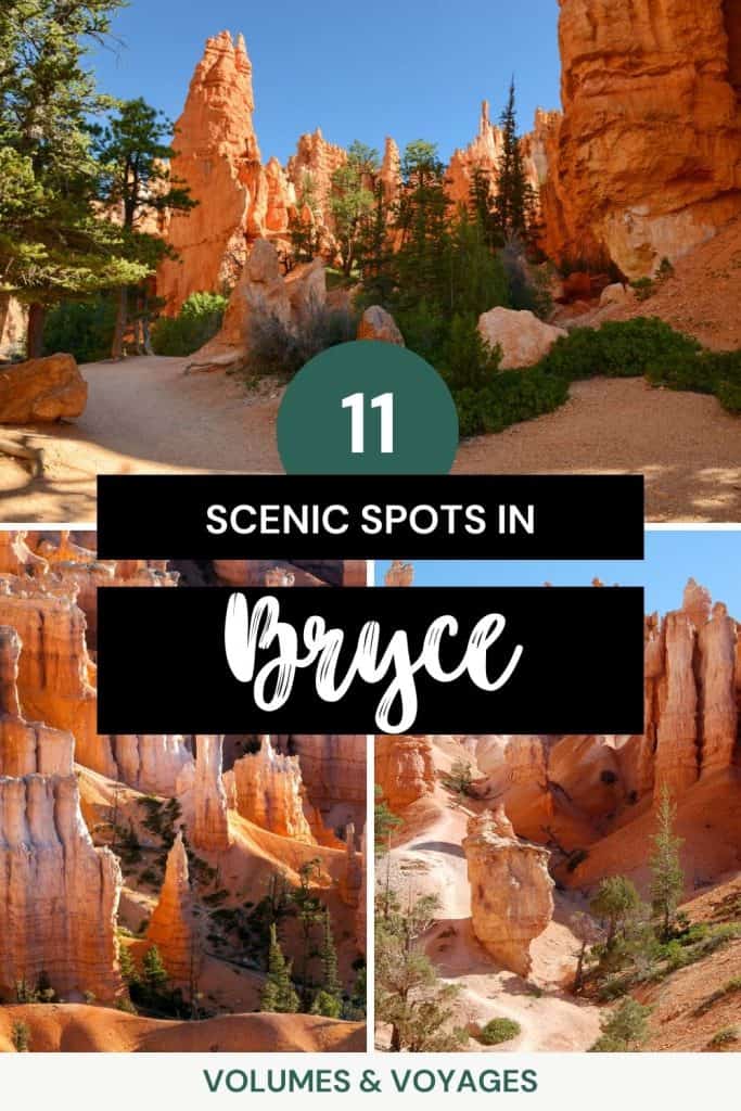 Pinterest image that says 11 scenic spots in Bryce.