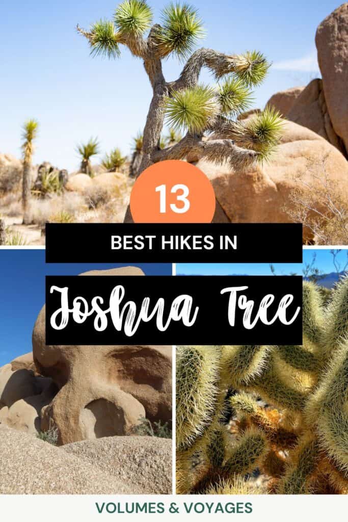 Pinterest share image that reads "13 best hikes in Joshua Tree."