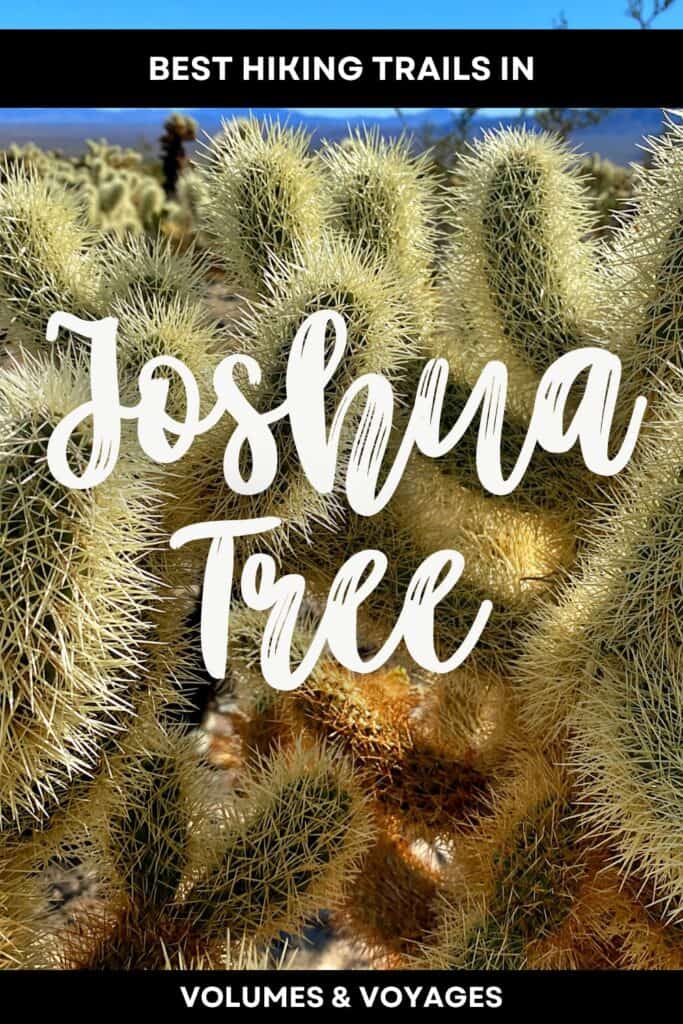 Pinterest share image that reads "best hiking trails in Joshua Tree."