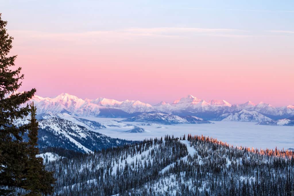 The alpenglow of sunset casting pink hues over snow-capped mountains in Glacier National Park, with a forested valley below