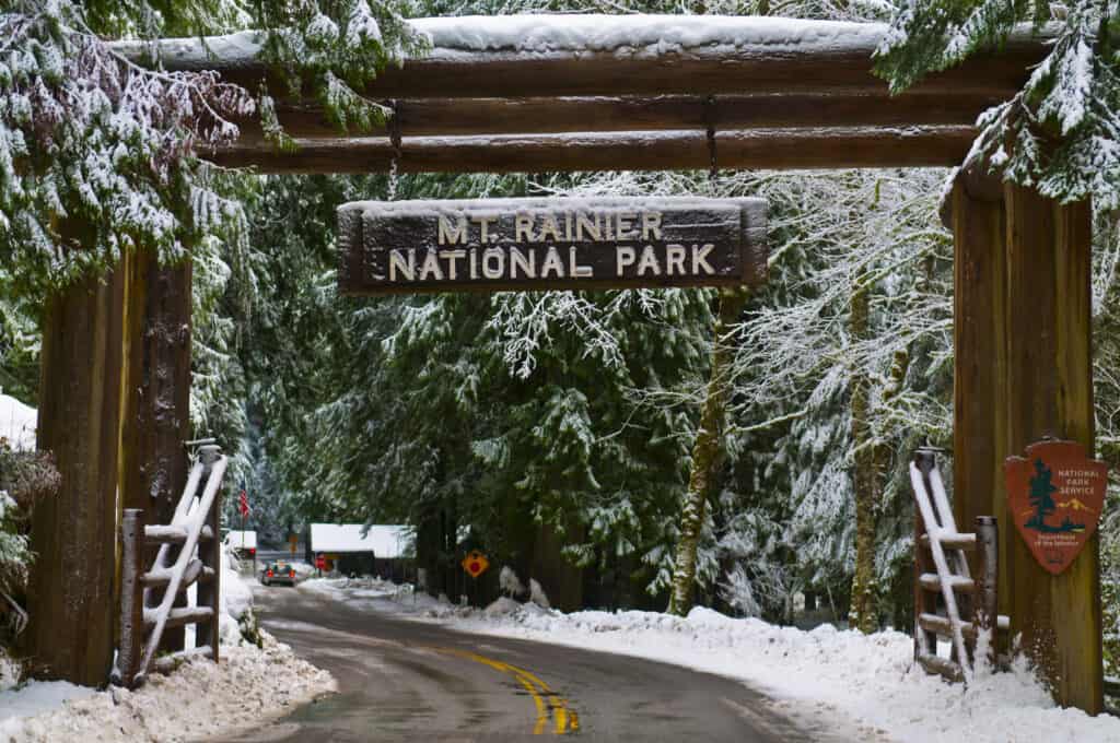 The snow-covered entrance of Mount Rainier National Park with dense, frosty trees on either side of the road