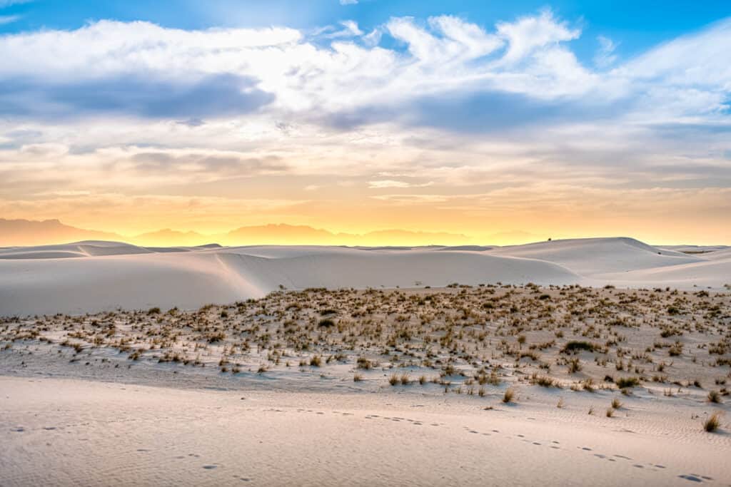Golden sunset casting soft light over undulating sand dunes with scattered vegetation.