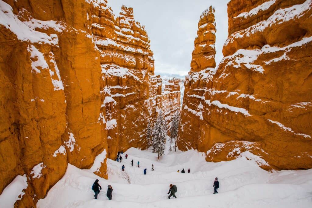 Hikers navigating the snowy trails between the striking orange hoodoos of Bryce Canyon National Park, highlighting the park's dramatic winter beauty