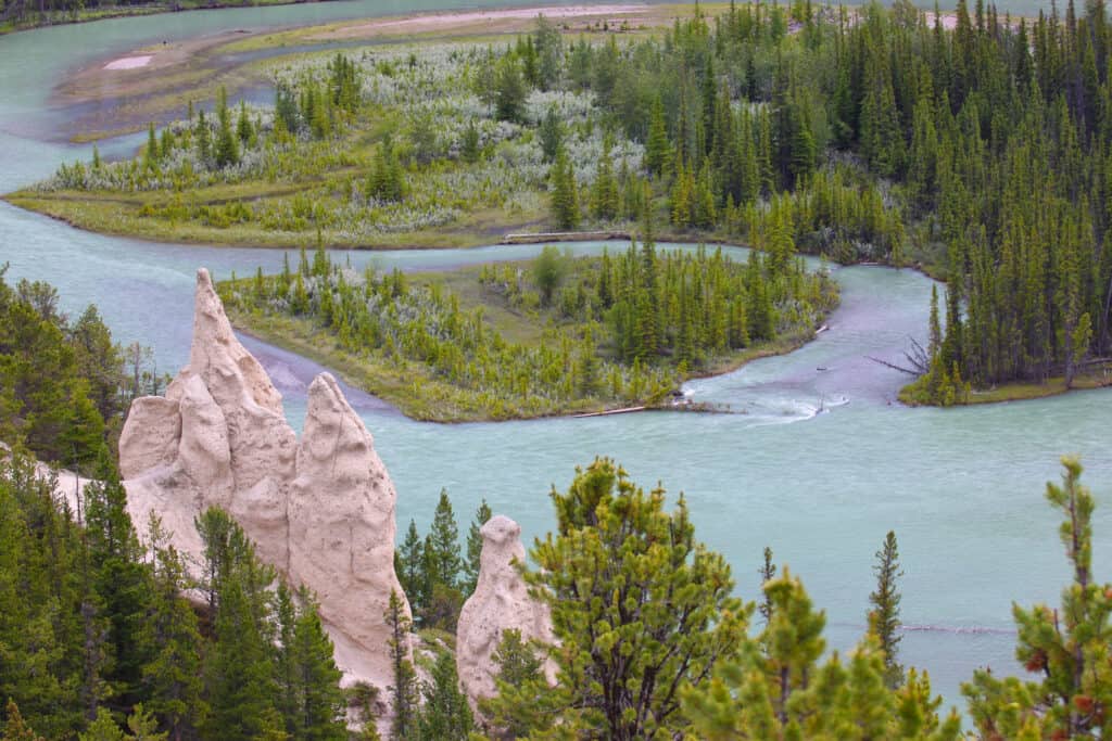 Overhead view of blue water surrounded by green trees