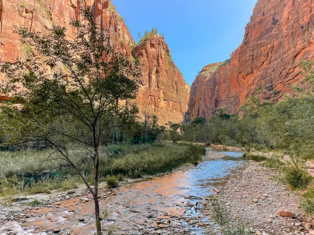 Red rocky cliffs in background with stream flowing towards the camera