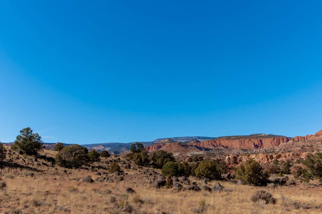 Rocky cliff line with trees and shrubs in foreground