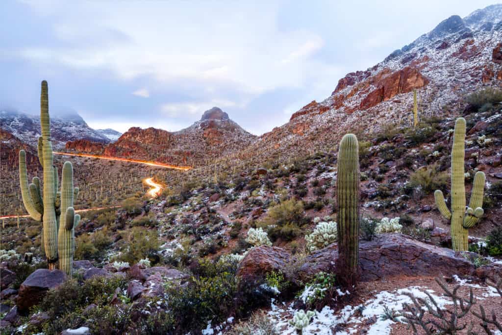 Cacti lightly dusted in show in a rocky desert area with a road running through the middle.