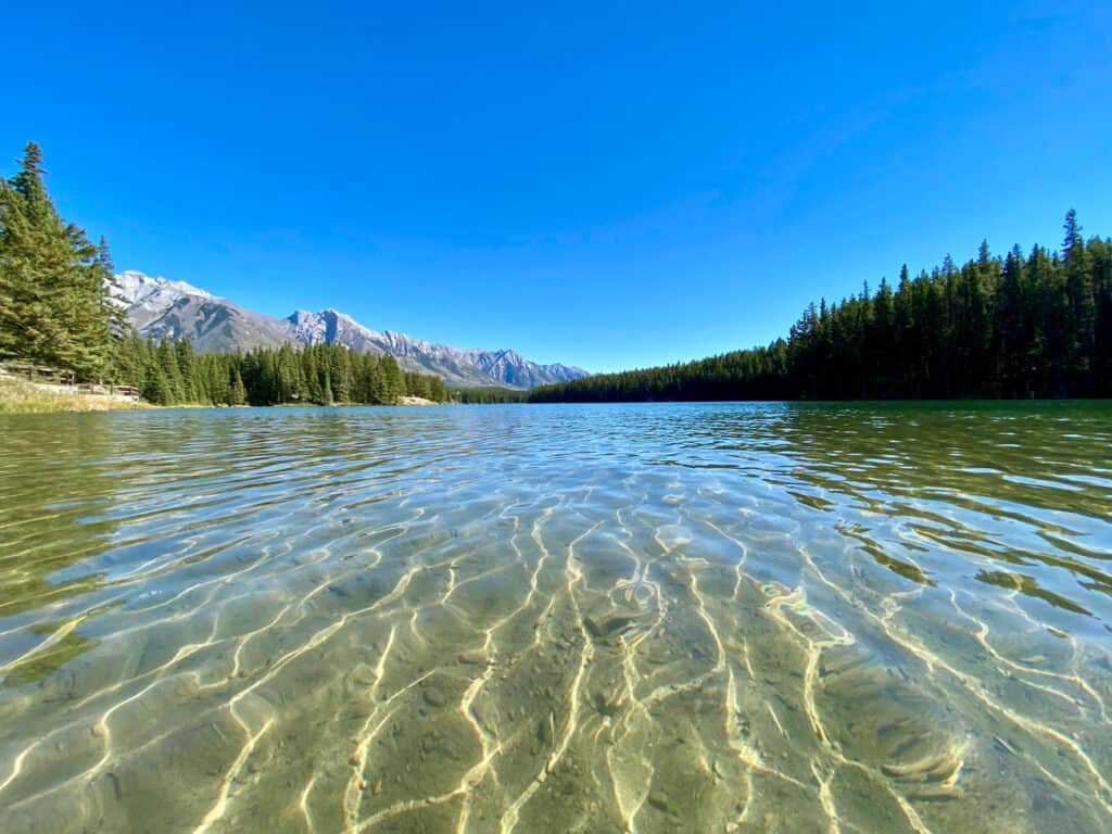 Crystal clear water surrounded by lush green trees with mountains in background