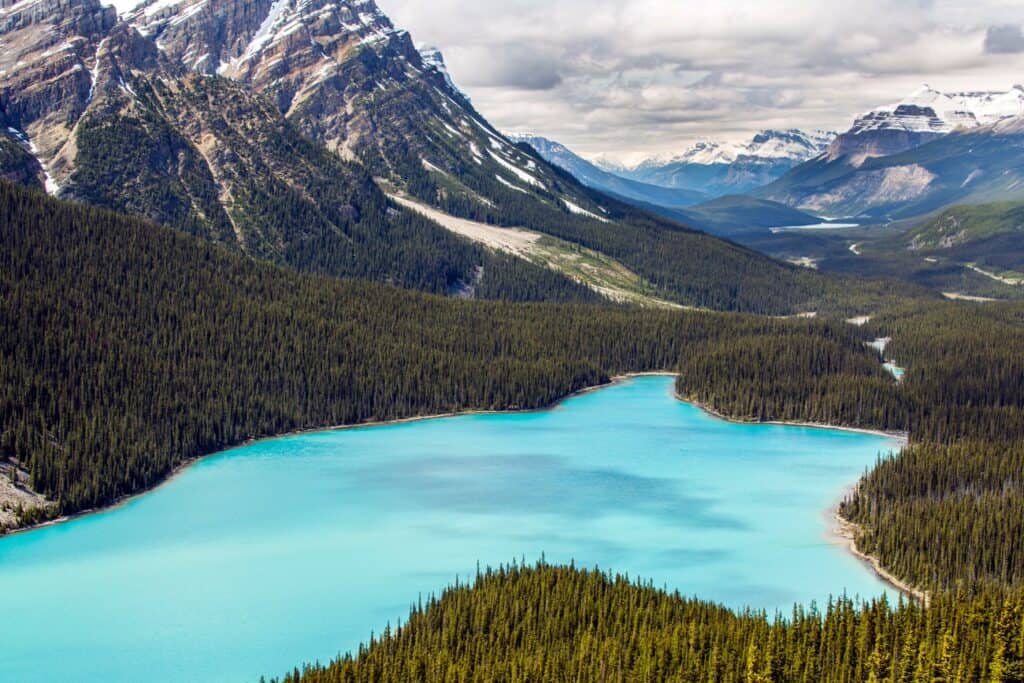 Bright blue water surrounded by dense trees with snowy mountains in background